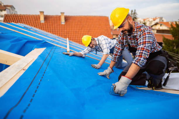 Best Roof Leak Repair  in Estherville, IA