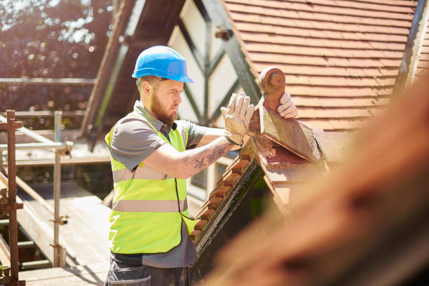 Roof Gutter Cleaning in Estherville, IA